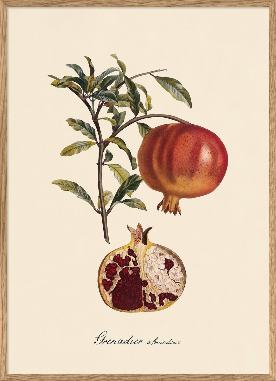 Pomegranate Print in Oak Frame